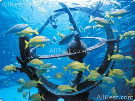 Atlantis Paradise Island Resort 56